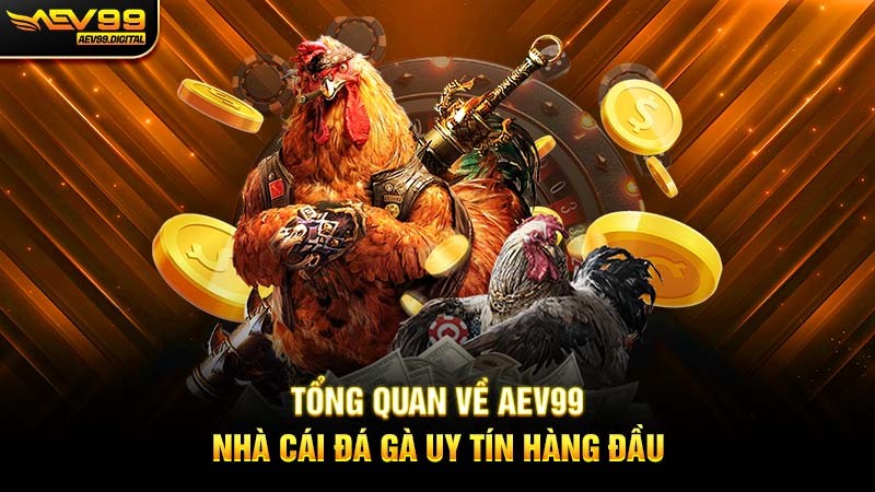 Tổng quan về Aev99 nhà cái đá gà uy tín hàng đầu Tổng quan về Aev99 nhà cái đá gà uy tín hàng đầu