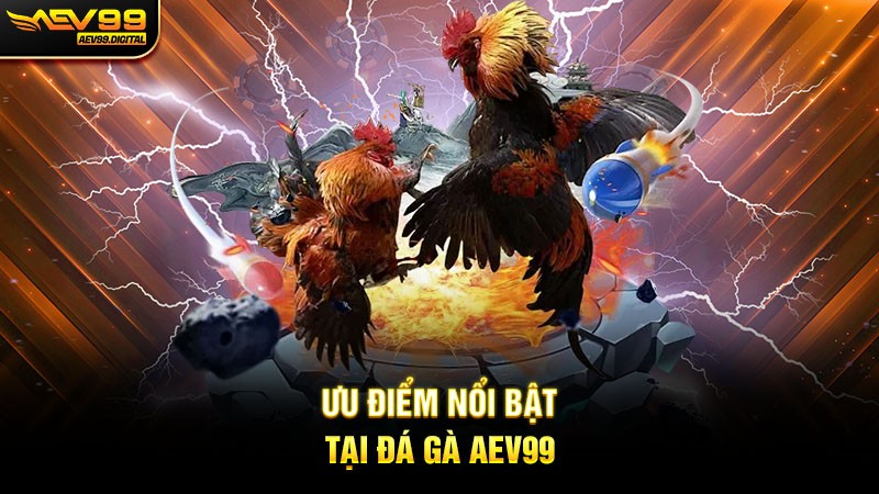 Ưu điểm nổi bật tại Đá gà Aev99 Ưu điểm nổi bật tại Đá gà Aev99